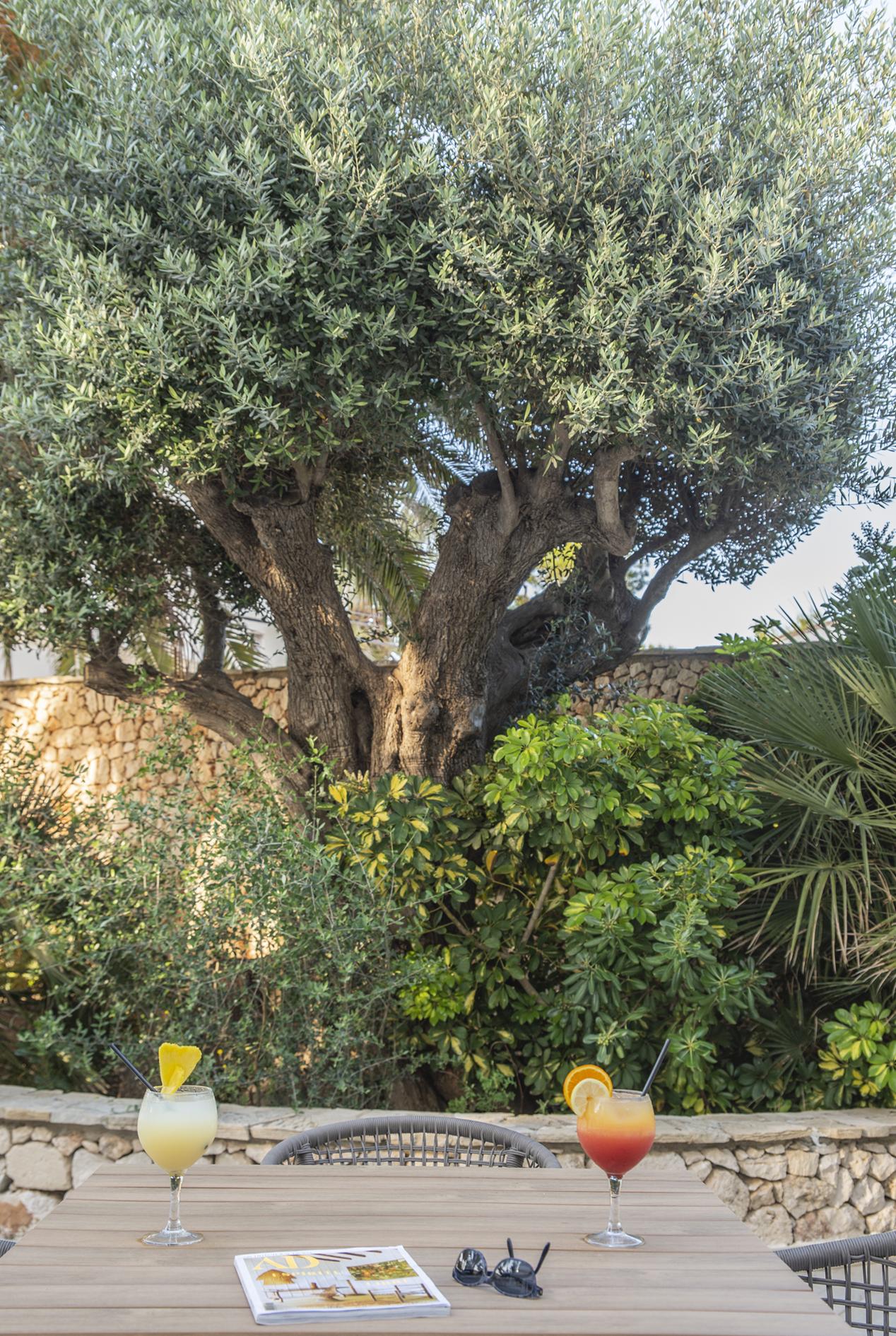 Hotell Smy Vistamar Portocolom (adults Only)